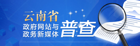 云南省政府網站與政務新媒體普查